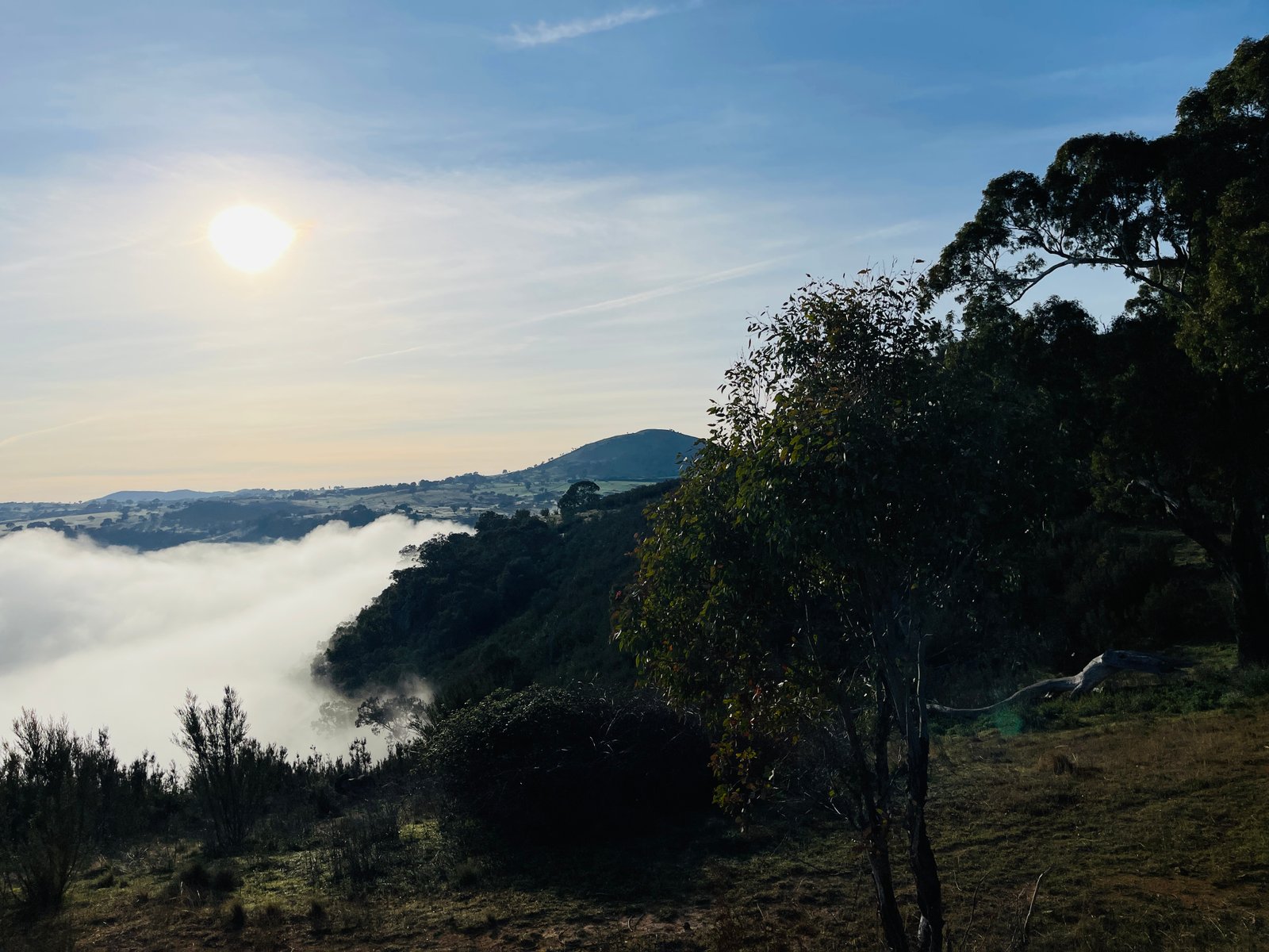 The valley below