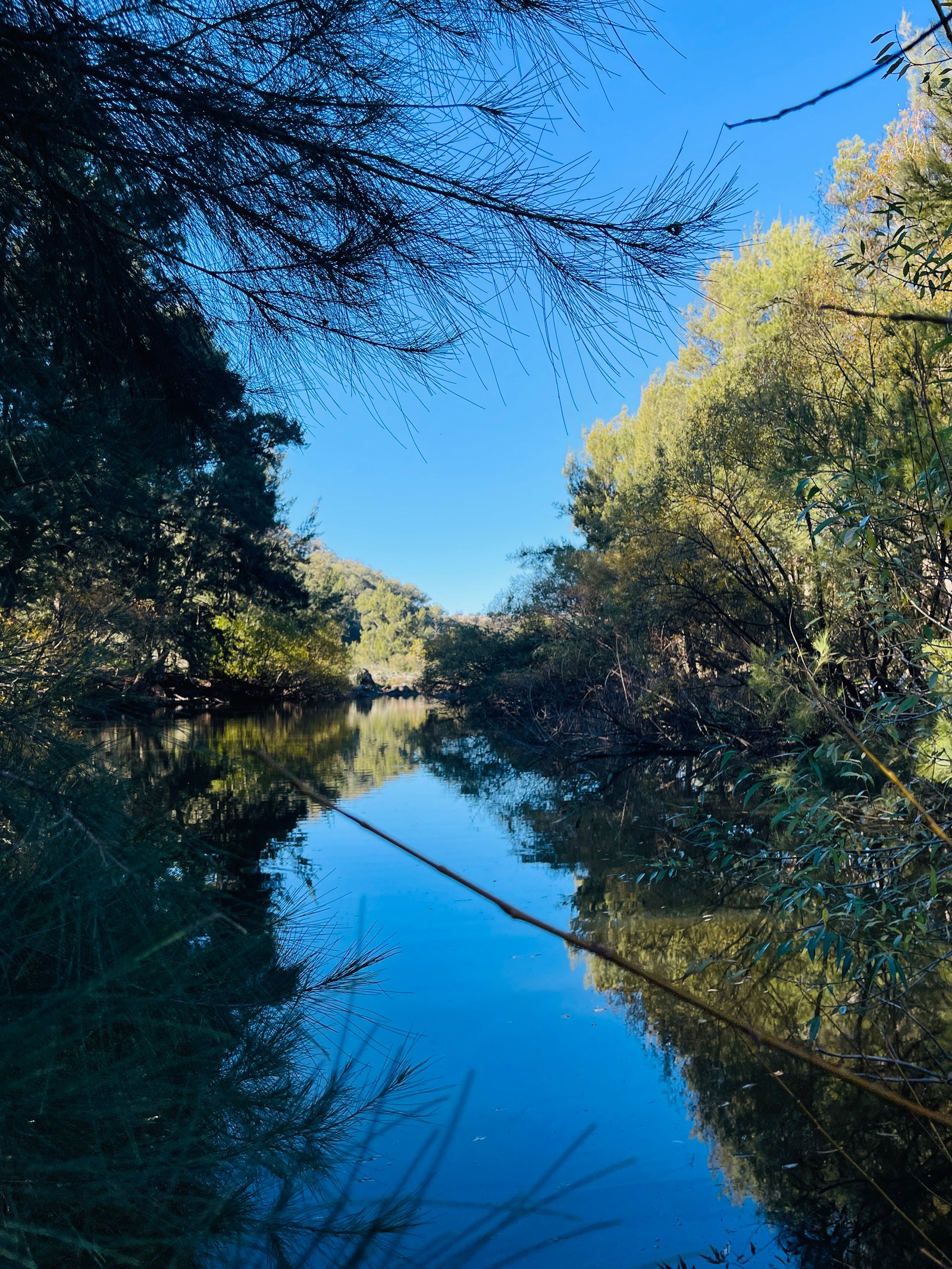 Toward the river