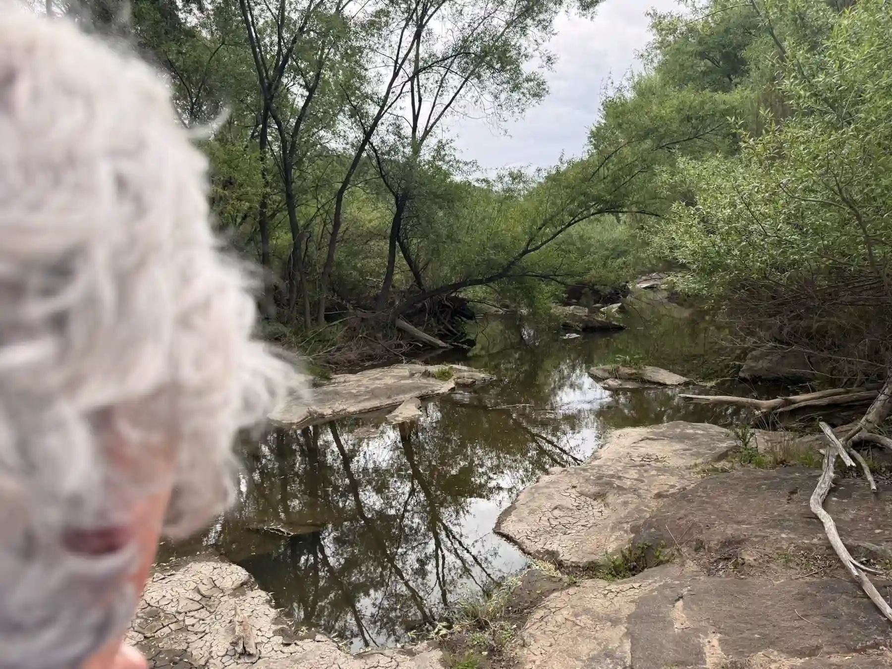 A quiet pool along the river corridor