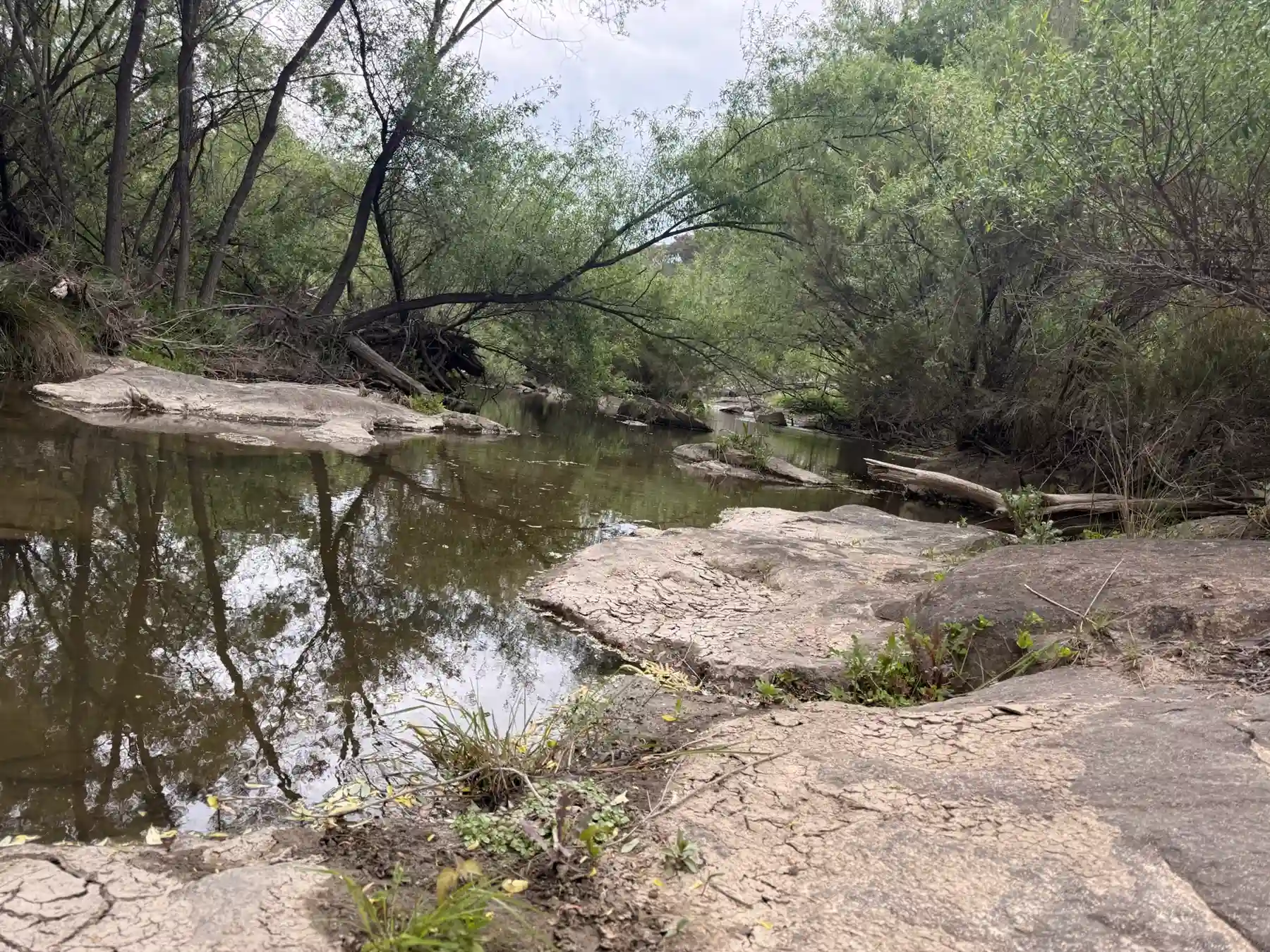 River pools among the granite shelves