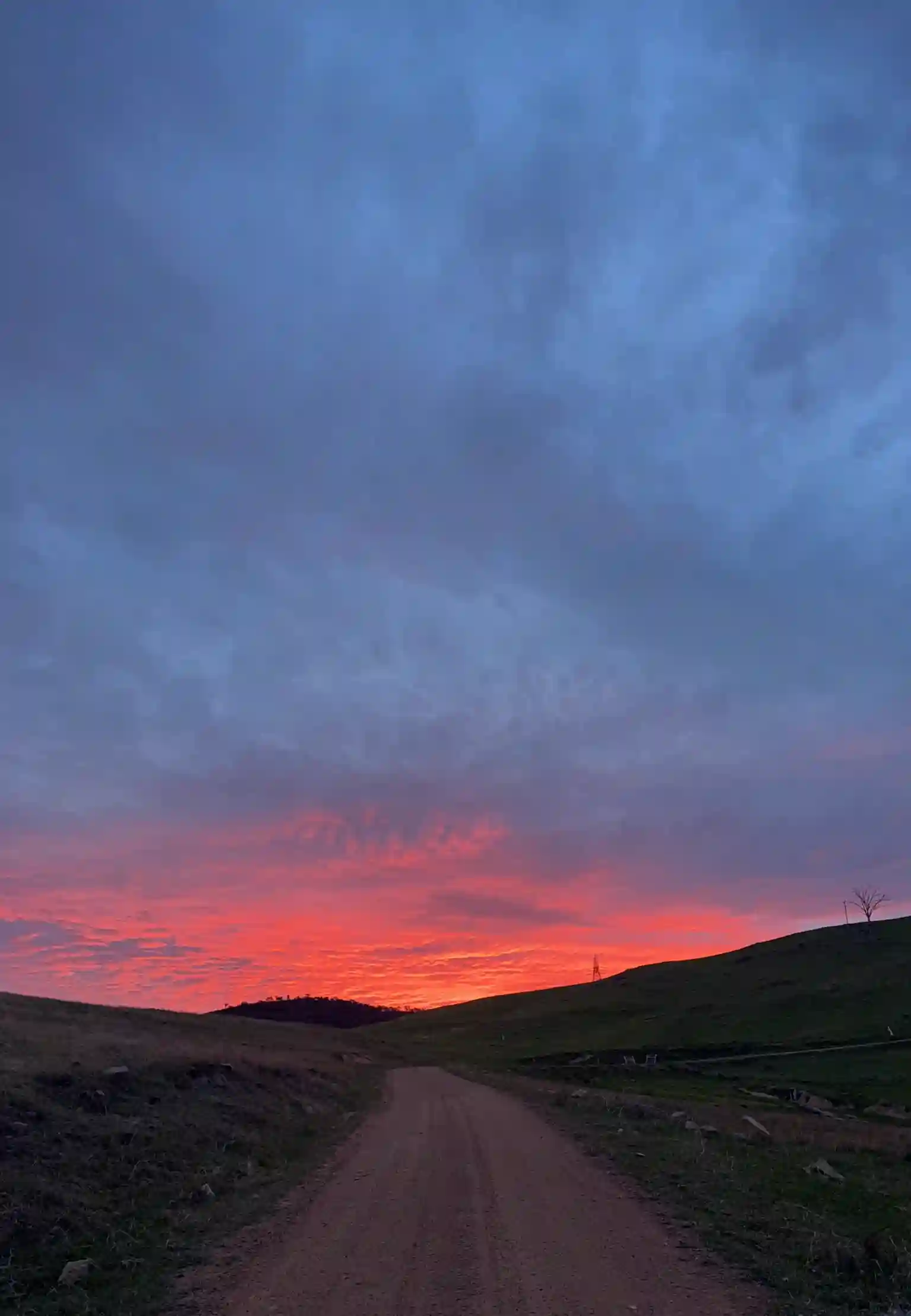 The road home beneath a painted sky
