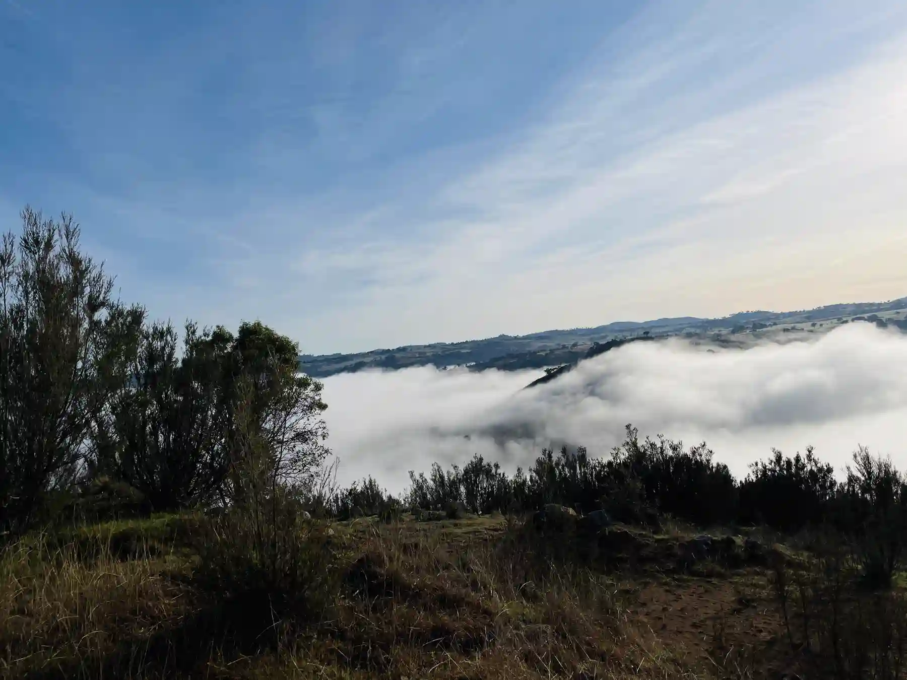 Morning mist filling the valley