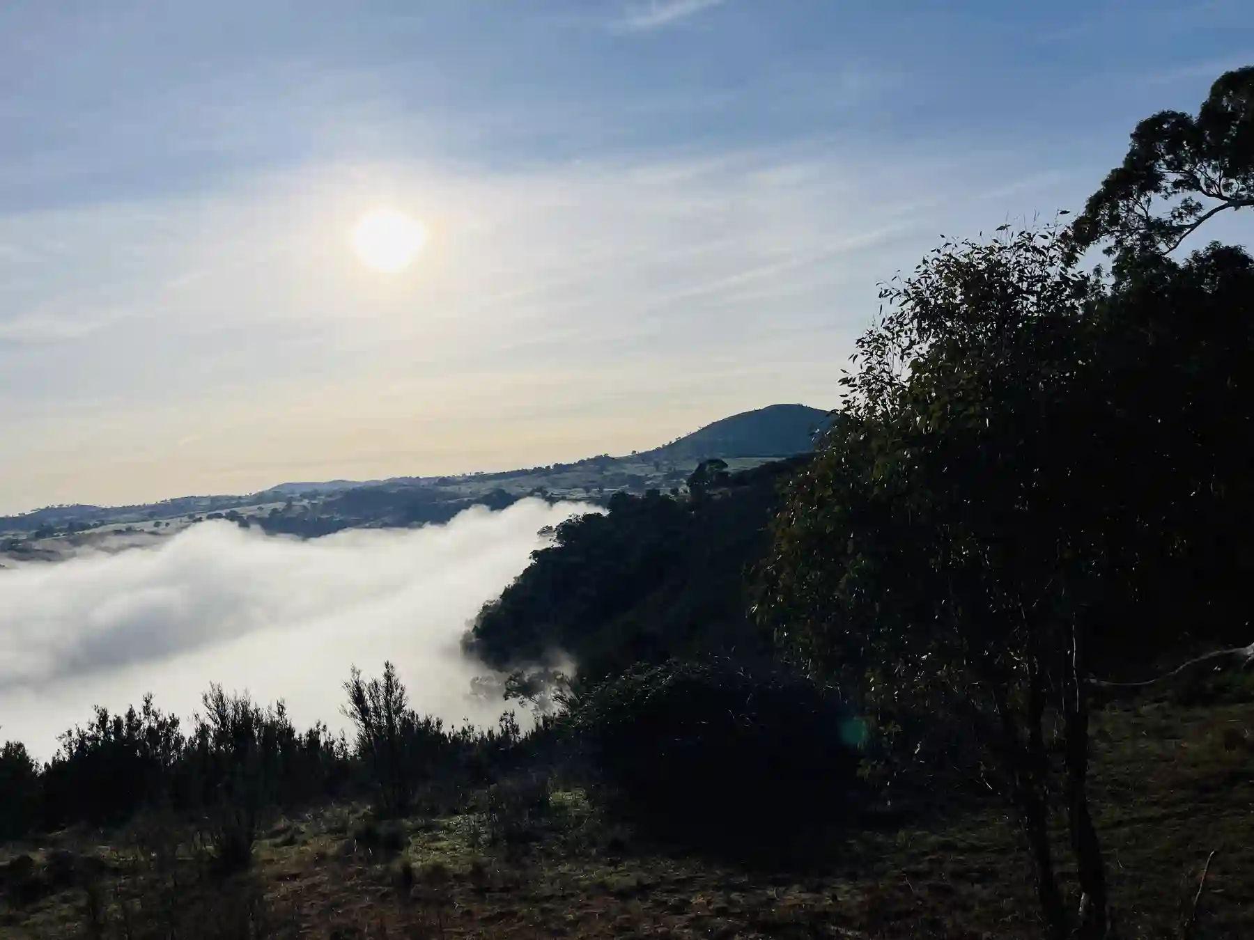 Winter sun over a valley of cloud