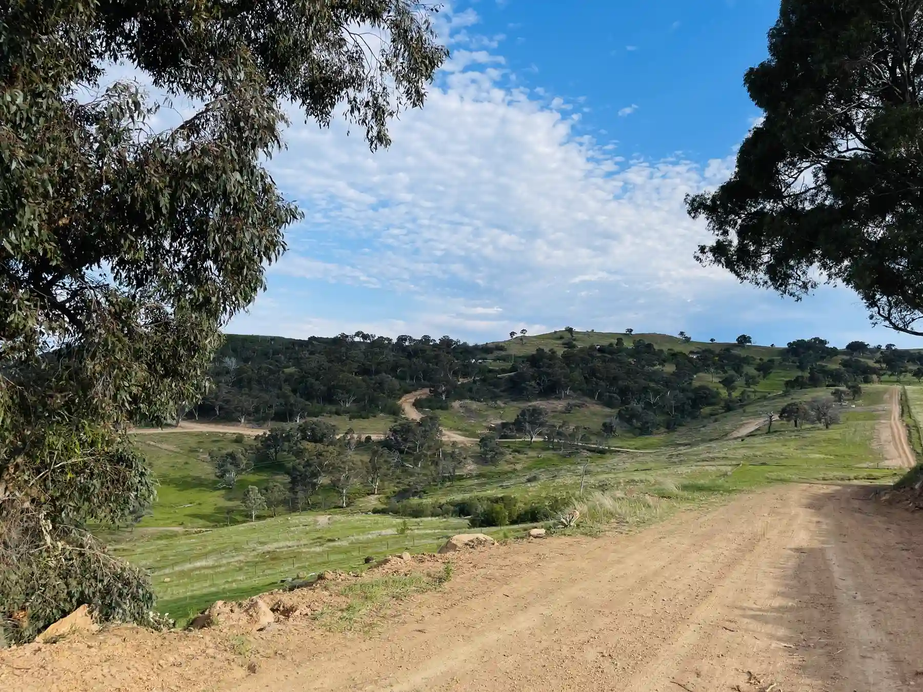 The track winding into the valley