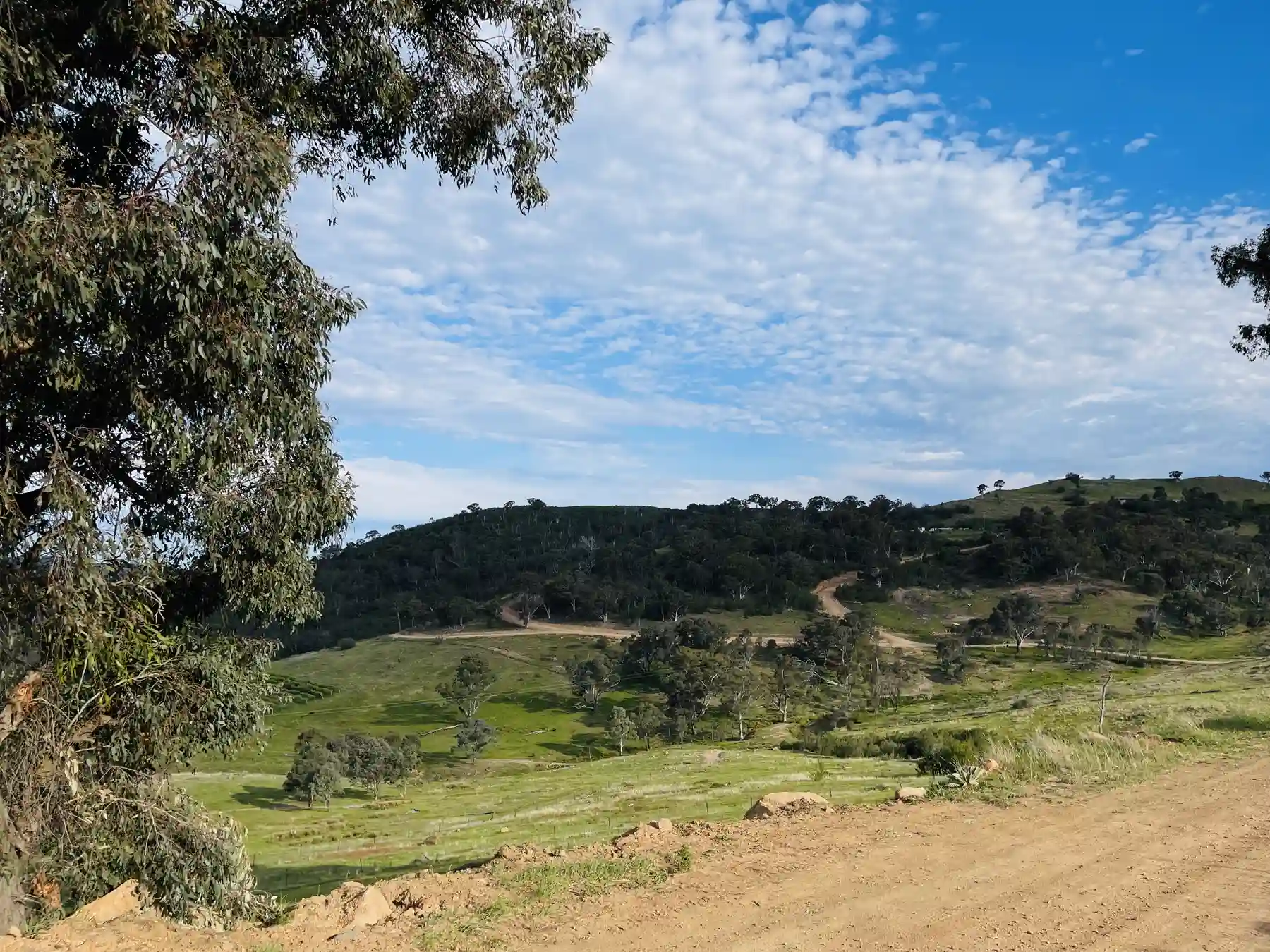 A framed view across the lower country