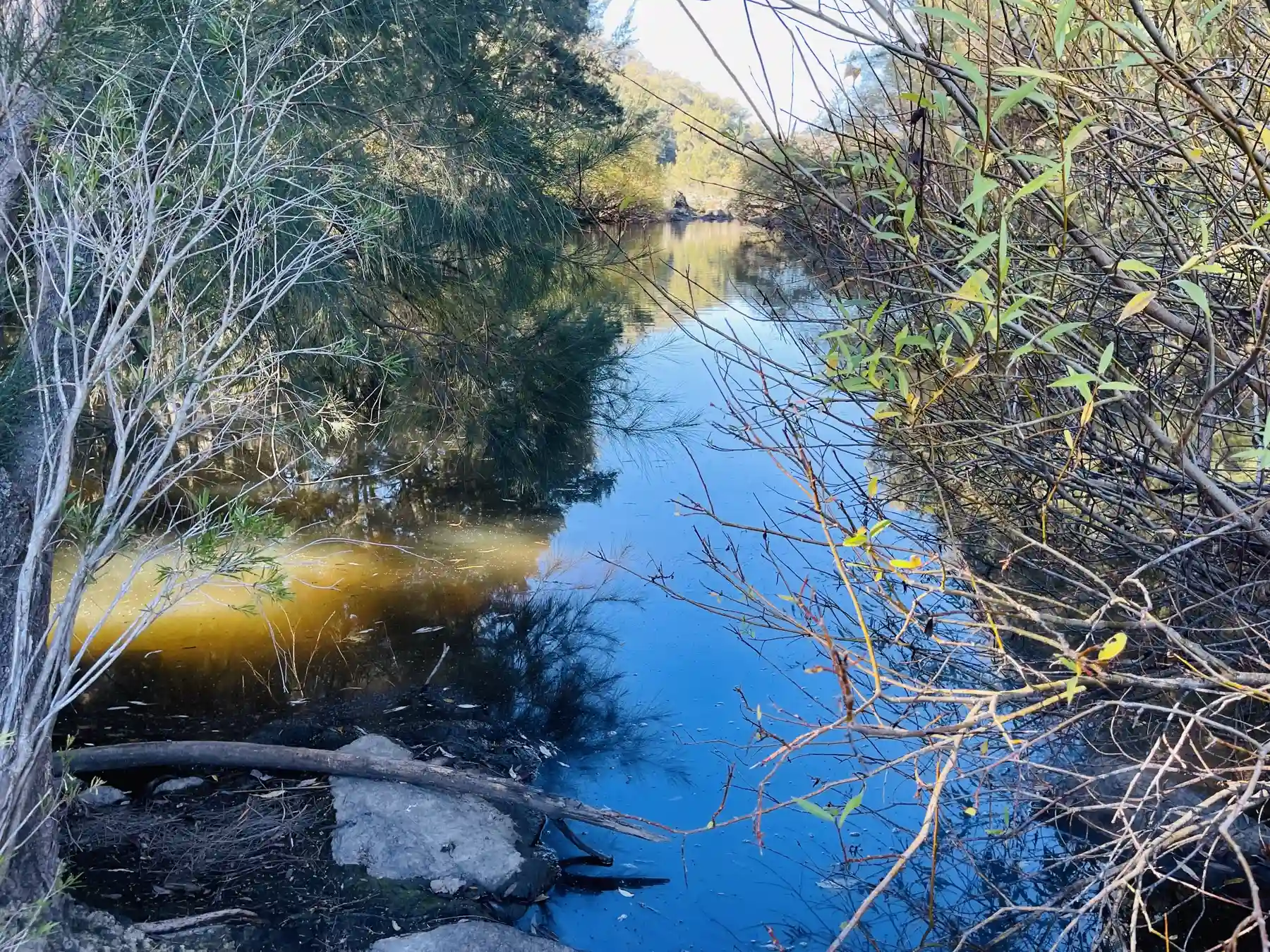 A sheltered reach of the Murrumbidgee