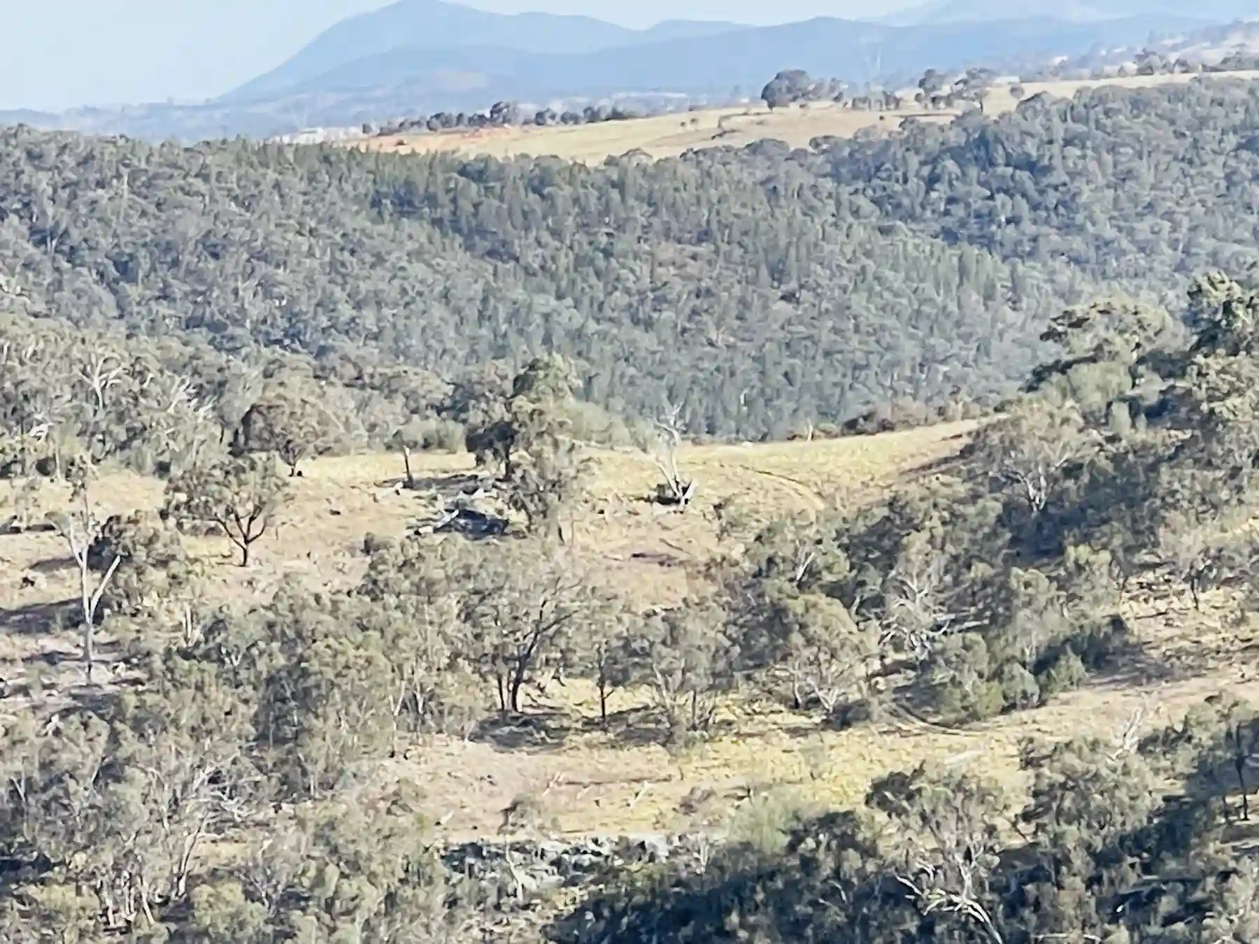 Wooded gullies and elevated country