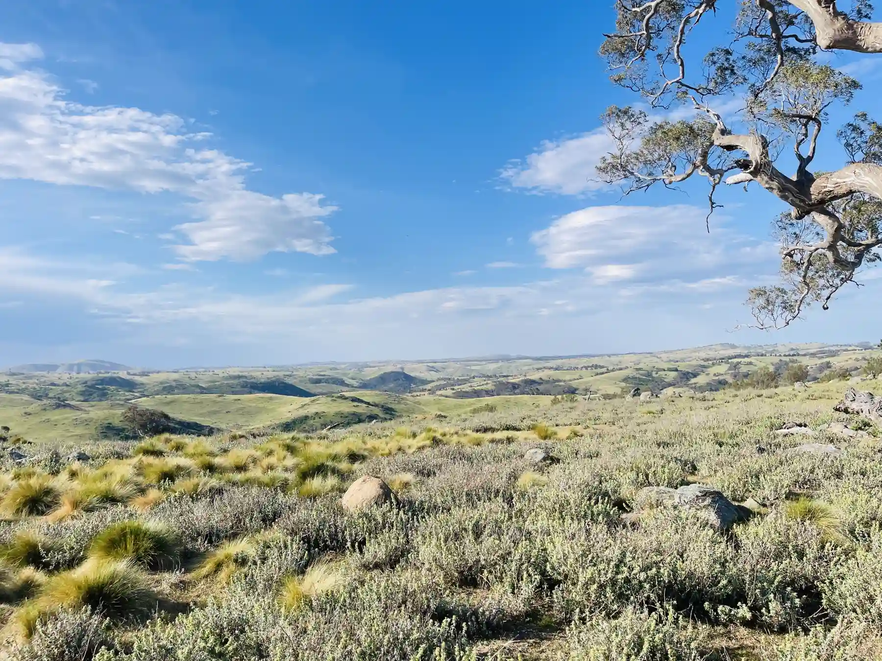 Open country stretching toward the horizon