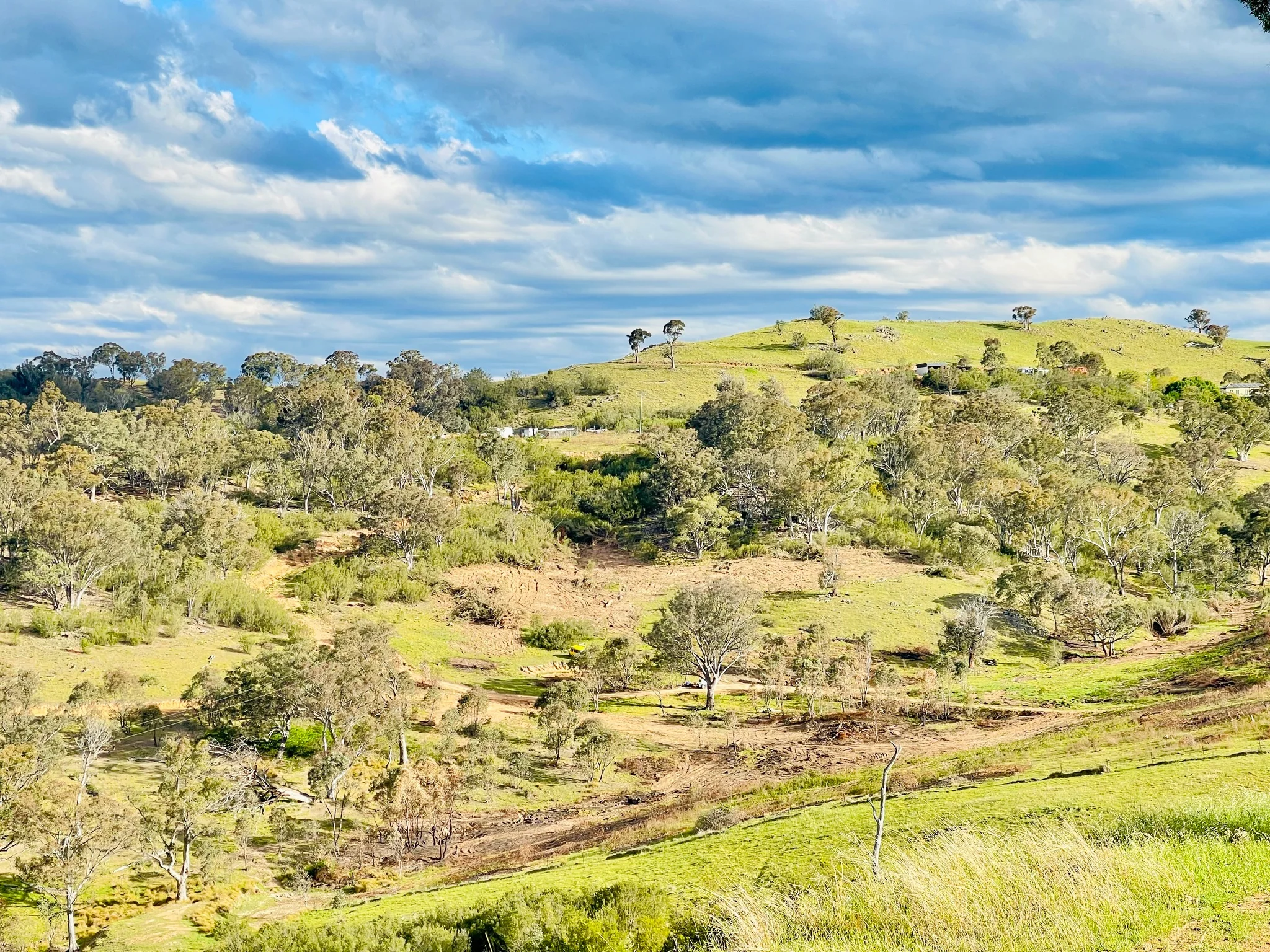 Green Murrumbella hills and native woodland beneath a spring sky